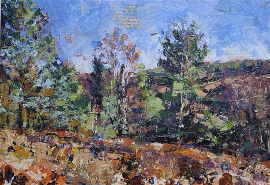 Nick Hebditch, oil and newspaper on board, landscape, label verso, 20 x 29cm